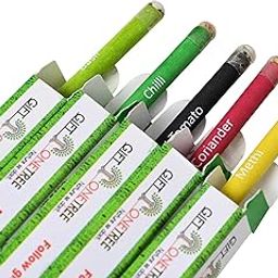 GIFTONETREE Plantable Seed Pencils | Pack of 15 Single Pencils | Best for Distributing in School on Birthday | Return Gift-14