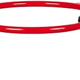 KALIAT Heavy Duty Gas Cylinder Trolley – Red Stainless Steel Stand with Double Bearing 2+2 Lock Wheels | Kitchen Cylinder Trolly for Easy Rolling & Carrying | Small Space Utility Accessory-image-32