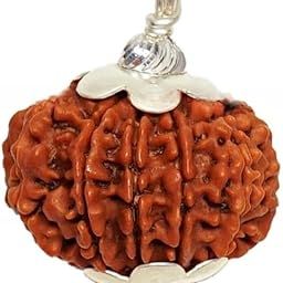 SRT Rudra 12 Mukhi Rudraksha Original Certified 12 Mukhi Rudraksha with Silver Capping Barah Mukhis Rudraksh Nepali Blessed By Lord Surya 12 Face Rudrakshaa 12 मुखी रुद्राक्ष 12 Mukhi Rudraksh Pendant-image-38