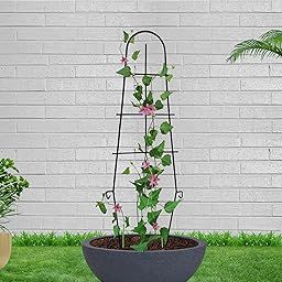 GARDEN KING Plant Supporters/Trellis for Climbing Vines and Plant Support for Indoor and Outdoor Gardening, Metal, Rust Resistant Structure (Set of 2 PCs, Black)…-image-23