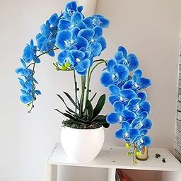 TIED RIBBONS Pack of 3 Artificial Orchid Flowers Sticks for Vase (93.98 Cm, Blue) Decoration Items for Home Decor Living Room Bedroom Office Table Top Vase Pot Centerpiece-5