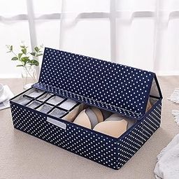 FLYNGO Innerwear Organizer 16+1 Compartment Non-Smell Non Woven Foldable Fabric Storage Box for Closet (Blue Polka Dot)-image-76