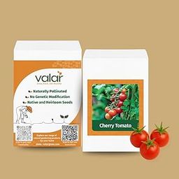 Valar Cherry Tomato Seeds | Open Pollinated Non-GMO Seeds | Home Gardening, Balcony Farming, Sweet Snacking-image-33