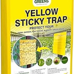 Anandi Green's Yellow Sticky Strap for Attract Insects Who Can Damage Your Plants Pack of 10-image-43
