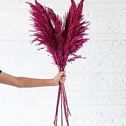 Flowers and Fillers || Pink Pampas Grass (Pack of 10 Sticks) | Natural Dried Flower | Eco-Friendly Flowers for Home, Office, Bedroom, Table Decoration and Craft Items Corner (Without Vase Pot)-image-83