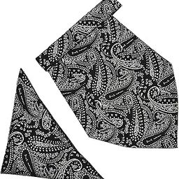 France Men's Self-Design Paisley Cravat NeckTie for Men Free Size Microfiber Fabric-image-30