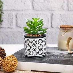 SATYAM KRAFT 1 Pcs Small Ceramic Miniature Artificial Flower Potted Flower for Home & Office Décor | Small Artificial Flower Succulent for Living Room,Window Ledge, Kitchen,Bedroom, Wedding-image-49