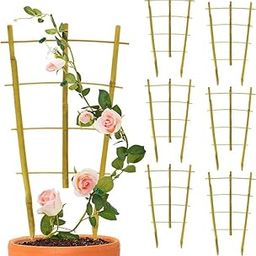 8 Pack Bamboo Trellis for Climbing Plants,16" Natural Garden Ladder Trellis Fan Shaped Plant Support with Twist Ties for Indoor Potted Plant Houseplant Vegetable Decor-18