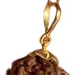 Best One Mukhi Ruthratcham Pendant For Men गले में पहनने वाला लॉकेट गोल्ड Original 1 Mukhi Rudraksha Nepali ருத்ராட்சம் Ruthraatchaa Genuine Ek Mukhi Rudraksha With Lab Certificate-image-59
