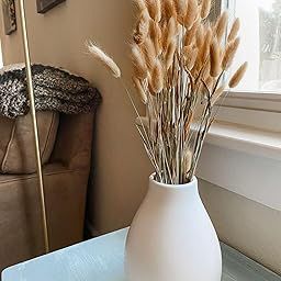 Homesake® Bunny Tails Dried Flowers, Dried Pampas Grass Bouquet, Boho Table Decor, White Pampas Grass Small, Dried Bunny Tails, Pampas Grass for Wedding, Home, party, Decorations, (Burnt Coffee-30pcs)-image-32