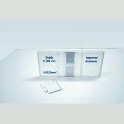 Neubauer Counting Chamber-20