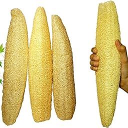 Organic Loofah Body Scrubber for Bathing : Extra Long, Hand-Picked, Clean and Ready to Elevate Your Daily Bath : Peerkangai Bath Scrub (Pack of 4) [MODAL: PB4]-36