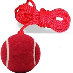 Aerolooks Soft-Medium Hanging Tennis Ball - 3.5 mtrs Rope (1) - with Two Knots, Nylon, Red(Pack of 1)-image-5