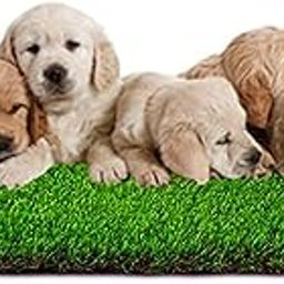 Artificial Grass Professional Dog Mat, Potty Training Rug and Replacement Artificial Grass Turf, Large Turf Outdoor Rug Patio Lawn Decoration, Easy to Clean with Drainage Holes(37 * 55 Cm)-image-10