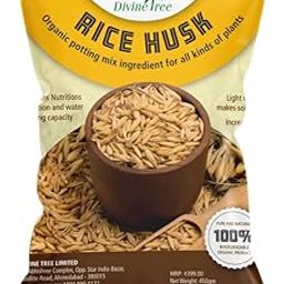 Divine Tree Organic Rice Husk for Plants - Natural Potting Mix Ingredient for All Kinds of Plants - Best Improves Soil Structure, Enhances Water Retention and Increases Soil Fertility (450gm)-image-28