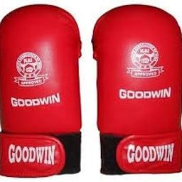 Approved Goodwin Karate Hand Gloves Red-Size-Free (Red)-image-28