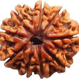 9 Mukhi Certified Natural Rudraksha Bead from Nepal with Silver Capping Lab Tested Original Rudraksh for Men & Women Spiritual Healing Wood Bead-image-48