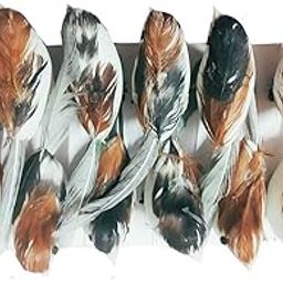 Santosh Trader Beautiful Artificial Small Birds 12 Piece (Natural)-image-68