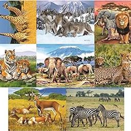 Chocozone 40 Pcs Animals Jigsaw Puzzle for Kids, Educational Puzzles for Kids for Age 5 Toys for 4+ Years Old Boys and Girls (29cm x 22cm) - Pack of 8-image-24