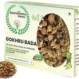Ayurdaanta Herbs - Gokhru Bada 100Gr.| Gokhru Kata | Dakhni Gokhru | Pedalium Murex - Large Caltrops|Natural,100 gr.| गोखरू बड़ा 100 Gr | गोखरू कांटा 100 Gr | दखनी गोखरू 100 Gr-image-16