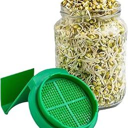 Sprout Me Multi Use Sprouts Maker Box - Glass Mason Jar With Mesh Lid For All Seeds & Beans, Sprouts Making Box With Built In Drainage Stand, 720Ml - Transparent-17