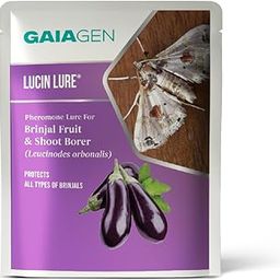 Lucin® Lure | Pheromone Lure for Brinjal Fruit & Shoot Borer (Leucinodes Orbonalis) | Pack of 10 | (Does Not Include Traps)-20
