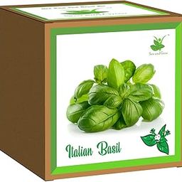 Sow and Grow Seed Starter Grow Kit of Italian Basil || DIY Easy Grow it Yourself Gardening Kit for Home and Garden || A Complete Beginner Gardeners Gardening Set-26
