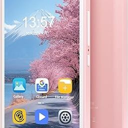 80GB MP3 Player with Bluetooth and WiFi, Mp3 & Mp4 Music Player with Spotify, Amazon Music, Deezer, Audible, Browser, 4.0" IPS Touch Screen Android Player with Speaker, FM Radio, Up to 512GB (Pink)-22