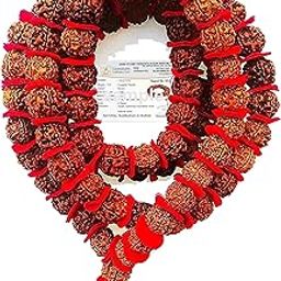Vado® 5 Mukhi Nepali Rudraksha Kantha Mala 54+1 Beads with Certificate 18 MM Size (18)-image-39