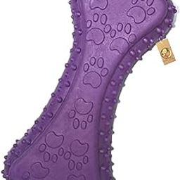 Foodie Puppies Natural Latex Rubber Squeaky Dog Toy (Prickle Bone) | Small to Medium Dogs & Puppy | Durable, Fetch & Chew Safe Play Toy | Reduce Separation Anxiety-0