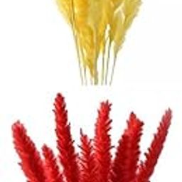 MYADDICTION Set of 30 Dried Pampas Grass Phragmites Reed Flower Bunch Home Table Decor-image-0