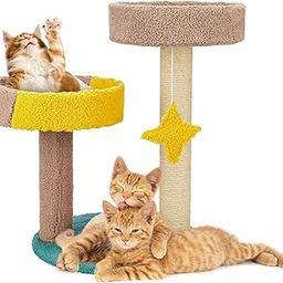 Amazon Basics Multi-Color Hanging Starfish Cat Tree with Platform & Scratching Posts | Innovative Design for Playful Cats and Kittens | Cozy Living Spaces | Durable Carpeted Construction | 55 x 39 x 80 cm-13