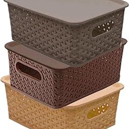 Plastic Multipurpose Solitaire Storage Basket with Lid|Side Handles & Wovan Design|Size 25 x 20 x 11 CM|Pack of 3-image-94