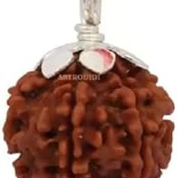6 Mukhi Pure Rudraksha bead,Certified, /Original Six Mukhi Rudraksh bead/Natural Six faced Rudraksha bead (Brown) with Certificate and Puja Instructionsx90-image-89