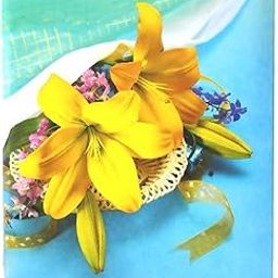 CSN - CUTE SHOPPING NETWORK Natraj Series Photo Album with Extra Clear PVC Film 200 Photos, (Photo Size Supported: 4x6 Inches, Multicolour)-image-15