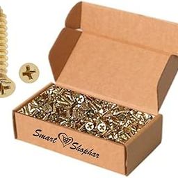 Smart Shophar Steel Phillips Flat Head Sheet Metal Screws 19 X 6 MM Golden Brass Finish, Pack of 100 Pcs/Sturdy and Stylish/Suitable for Various Applications/Long-Lasting Beauty-18