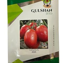 Gulshan Seed Farm Tomato F1 2525 Vegetable Seeds | Premium Hybrid Tomato Seeds for Farming, Seedbeds, Pots & Home Garden | High Yield, All-Season, Easy to Grow, Disease Resistant Plants-image-88
