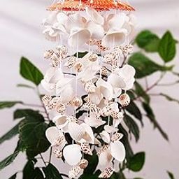 Shellkrafts Natural Sea Shell Decorative Windchimes for Home, Garden, Balcony, Yard Decor (White)-9