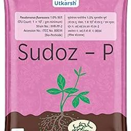 Utkarsh Sudoz-P (Pseudomonas Fluorescens 1.0% W.P. CFU Count: 1 x 10^8 / gm. min.) for Plants, Crops and Home Gardening (250 gm; Pack of 1)-image-28