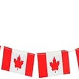 visionrabbit Canada Flag Flag_S-6_S-6-image-64