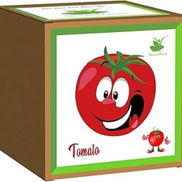 Sow and Grow Seed Starter Grow Kit of Tomato || DIY Easy Grow it Yourself Vegetable Gardening Kit for Home and Garden || A Complete Beginner Gardeners Gardening Set-image-85