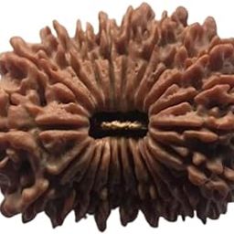 Rudraksha 21 Mukhi Original Certified Natural 21 Mukhi Rudraksha ॣ with Pendant Or Laal Dori Best Brown Bead Oval Shape Ekkis Mukhi Rudraksha Blessed by Kuber Devta by IRIS GEMS-11