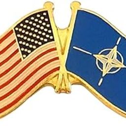 National Country Flag & US Crossed Double Flag Lapel Pins, International & American Friendship Enamel Tie and Hat Pin Badge (NATO), Metal, no gemstone-image-35