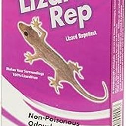 Mikado’s Lizard Repellent Pack of 1 | Maintenance Free-image-44