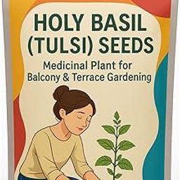 (250 COUNT) Sacred Tulasi Seeds for Pooja – Fast Growing Holy Basil for Home Garden-98