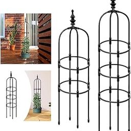 THE STYLE SUTRA Garden Trellis for Climbing Plants Potted Plant Support for Vegetables Total Height 120cm-26