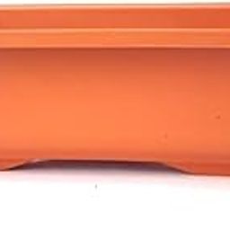 Green Paradise® Bonsai Pots rectangle 22.90 cm (L) x 16.50cm (W) x 8.30 cm(H) (Terracotta color) Training bonsai trees succulent cactus mini gardens and adeniums (Pack of 1)-image-66