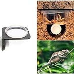 BNF® 4Pcs Suction Mini Worm Dish Reptile Gecko Ledge Feeder Corner Space Saving|Pet Supplies | Reptile Supplies|4 Pieces Feeding Bowls-image-46