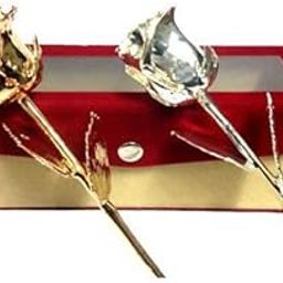Lavanaya Silver: Gold Dipped and 999 Silver Dipped Real Rose in Velvet Box for Loved Ones (15 CM, 250 GMS)-image-80