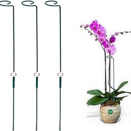 Urban Plant Garden Stakes (32 - Inch) Long Metal Plant Support Sticks, Weatherproof Gardening Poles for Indoor & Outdoor Plants (Pack of 3)-picture-10
